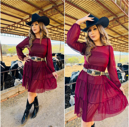 Burgundy mesh dress with slip